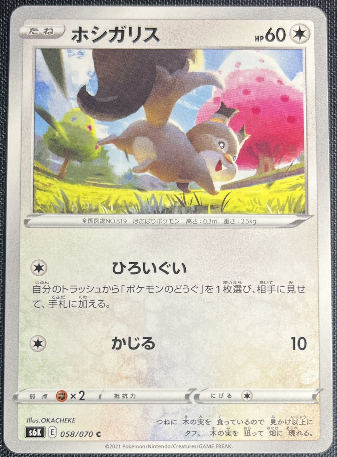 Skwovet 058/070 Pokemon Japanese Sword & Shield Jet Black Spirit s6k 2021