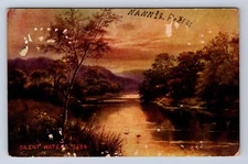 VINTAGE SILENT WATERS 5624 POSTCARD AA