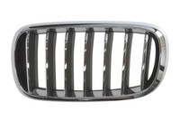 Blic 6502-07-00969933P Attrappe Gitter Links FüR BMW X5 X6 F15 F85 F16 F86