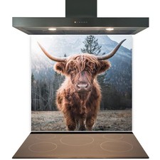 Kitchen Glass Splashback Toughened Tile Cooker Panel Any Size Design No. 2325