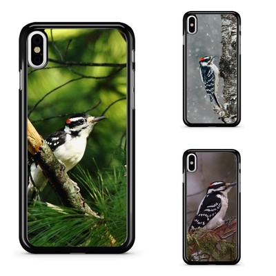 Plastic Case Hairy Woodpecker Bird Watching For iPhone 11 12 13 14 15 16 Pro Max
