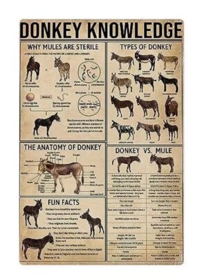 Super Durable Vintage Metal Tin Sign Decor Sign 8x12  Donkey Knowledge