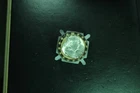 1954-S Roll of  20 BU Franklin Half Dollars - Low Mintage Coins