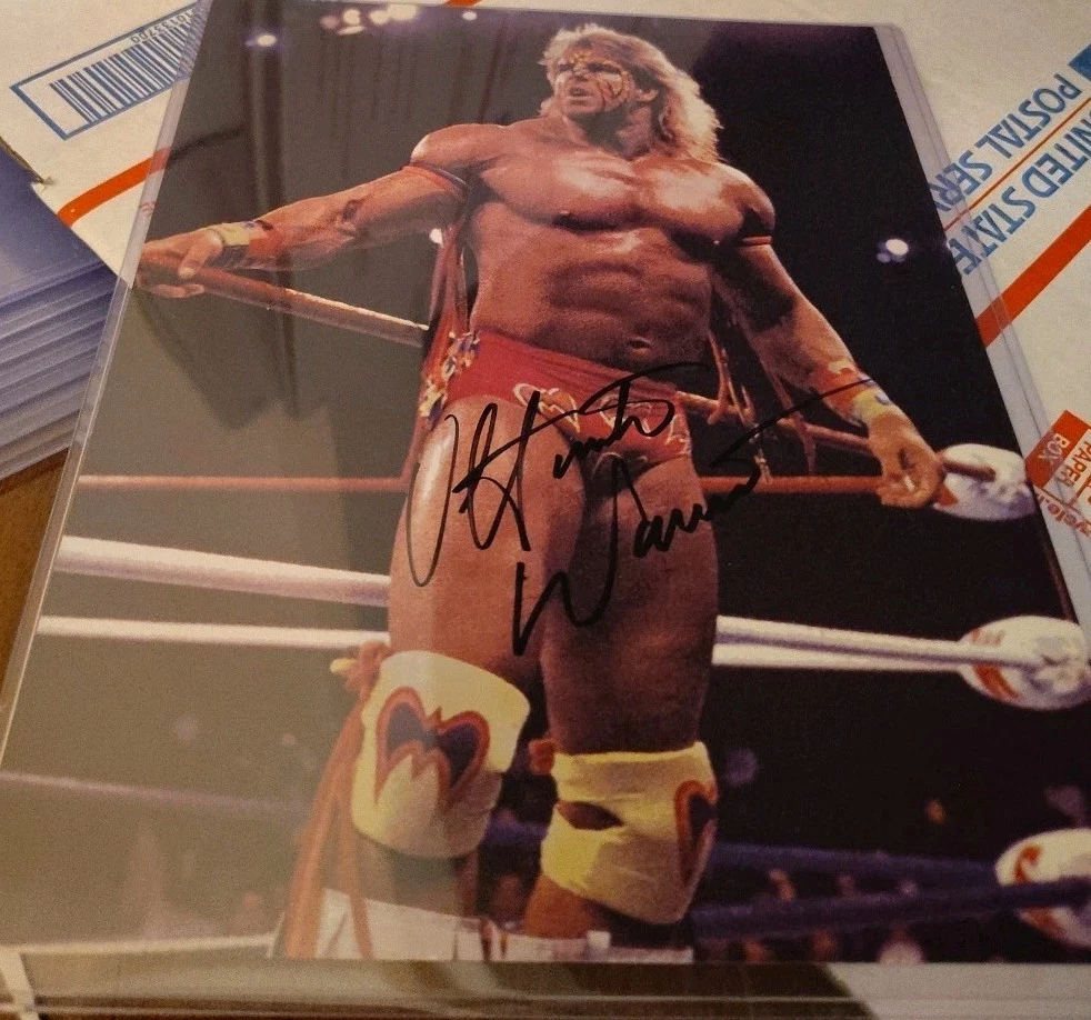 WWE Wrestling Signs for sale | eBay