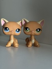 Littlest Pet Shop No Puzzle 525 Shorthair Cat Blue Eyes Authentic LPS LOT