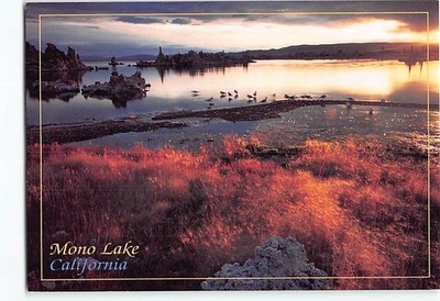 Postcard Mono Lake California USA