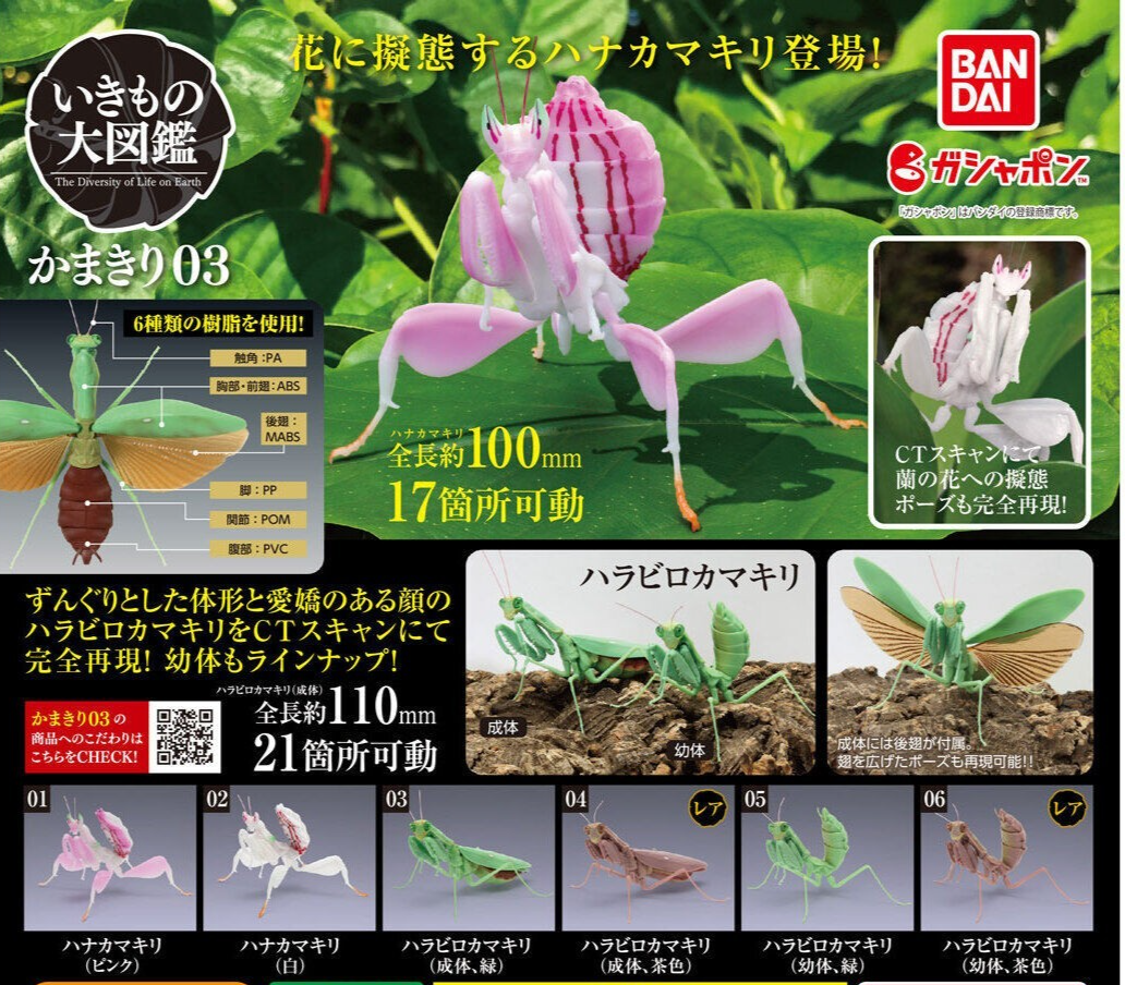 The Diversity of Life on Earth Mantis 03 Set of 6 Complete Bandai