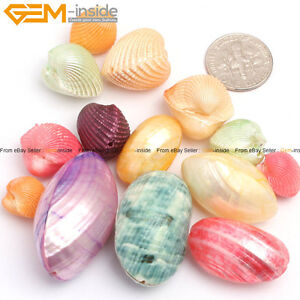 Whloe Lot Dyed Multicolor Freeform Shell Gems Loose Beads For Jewelry Making 15" 