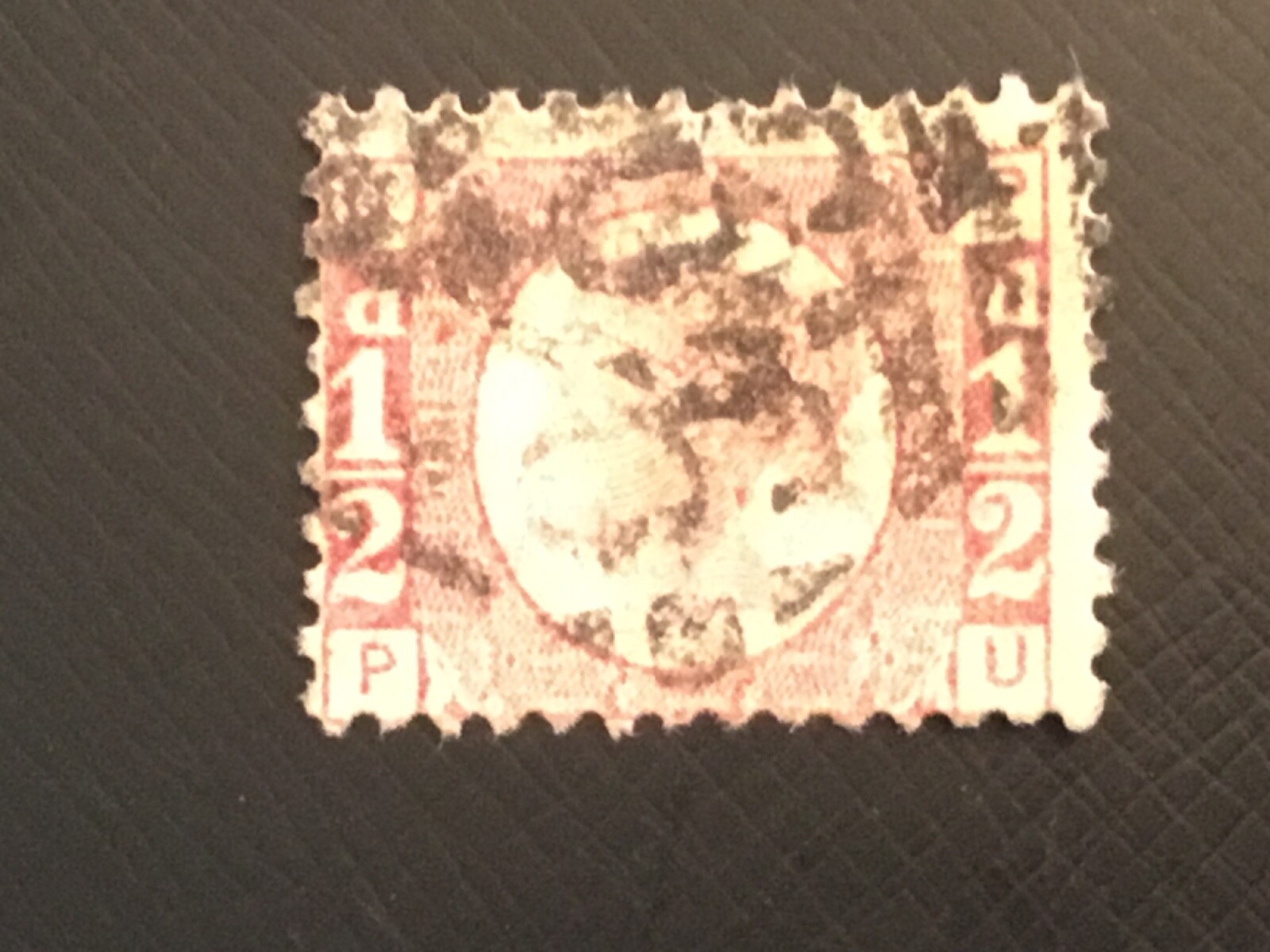 Picture 1