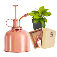 Copper Plant Mister: Fine Mist Spray Bottle for Indoor Tropical Houseplants