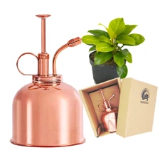 Copper Plant Mister: Fine Mist Spray Bottle for Indoor Tropical Houseplants