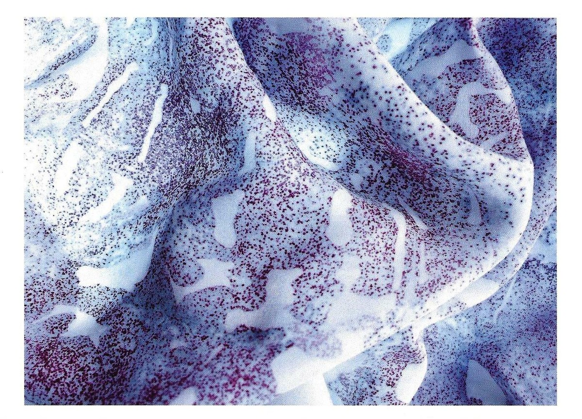 POSTCARD Natsai Audrey Chieza 