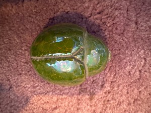 Kaarina Aho Finland bug RARE  Vtg Scarab Stoneware Pottery