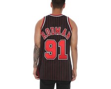 Mitchell  Ness Chicago Bulls 1995-96 Dennis Rodman Authentic PINSTRIPES Jersey