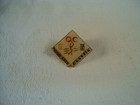 (5) BIRDIES FOR CHARITIES LAPEL PINS FROM QC CLASSIC, HARDEES, & JOHN DEERE  — photo 4