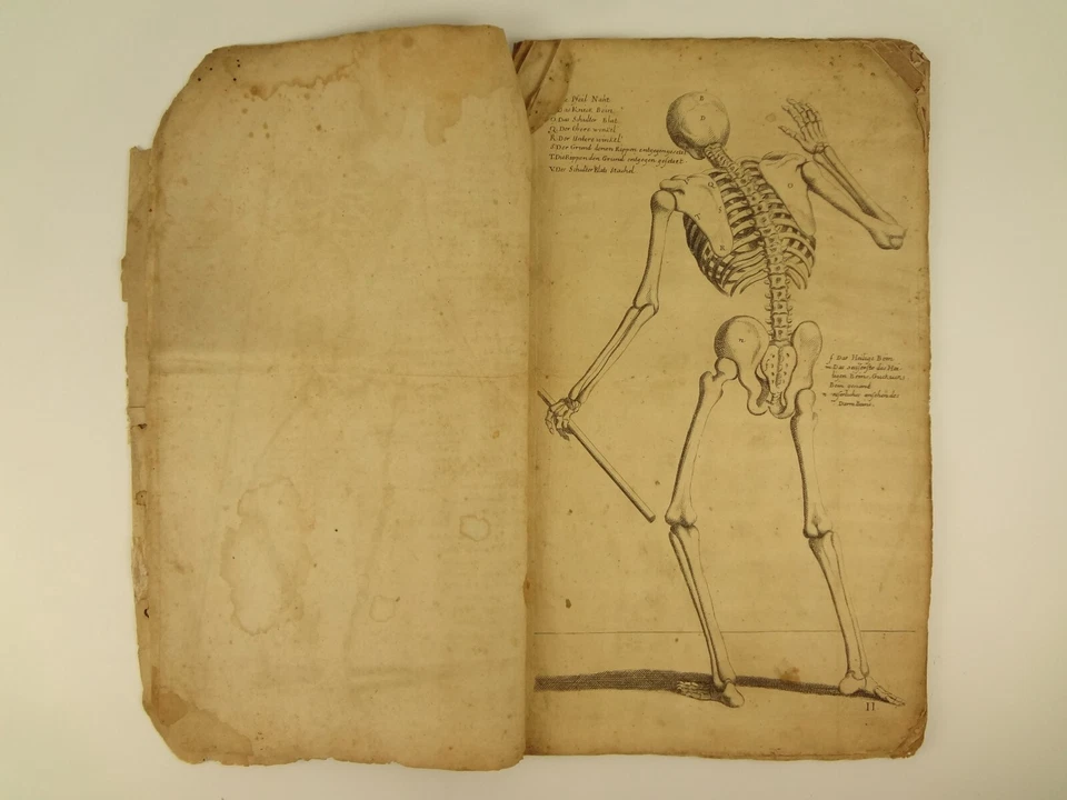 1750 L'Anatomie dei Pittori del Signore Carlo Cesio and Rerum Magni Concilii - Image 3 of 4