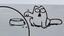 Cat With Food Bowl Decal Sticker Car Funny Truck Suv Gas Tank Window Laptop