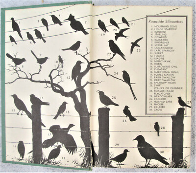 A Field Guide to Western Birds: Ultimate Tips for Birdwatchers