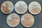 Lot of 5 - $1 American Silver Eagle 1 oz each BU All dates are 2025