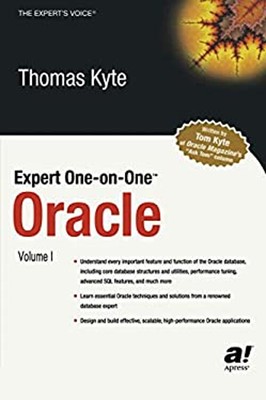 Expert One-on-One Oracle Paperback Thomas Kyte