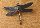 Brass Dragonfly Animal Statue Small Sculpture Tabletop Figurine Home Decor Gifts