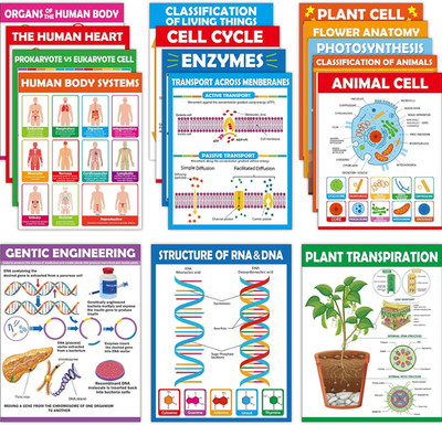 ZOIIWA 16Pc Science Posters - Biology & Life Science Charts for Classroom & High