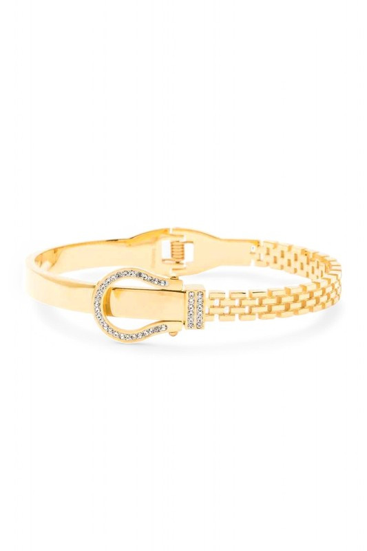 Crystal Buckle Stainless Steel Designer Bangle