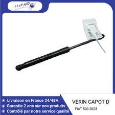 Verin de hayon / de capot Fiat 500
