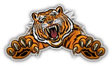 Angry Tiger Mascot Car Bumper Sticker Decal