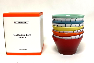Le Creuset Neo Bowl M Size 5 pcs set Rainbow Color Soup Rice Bowl