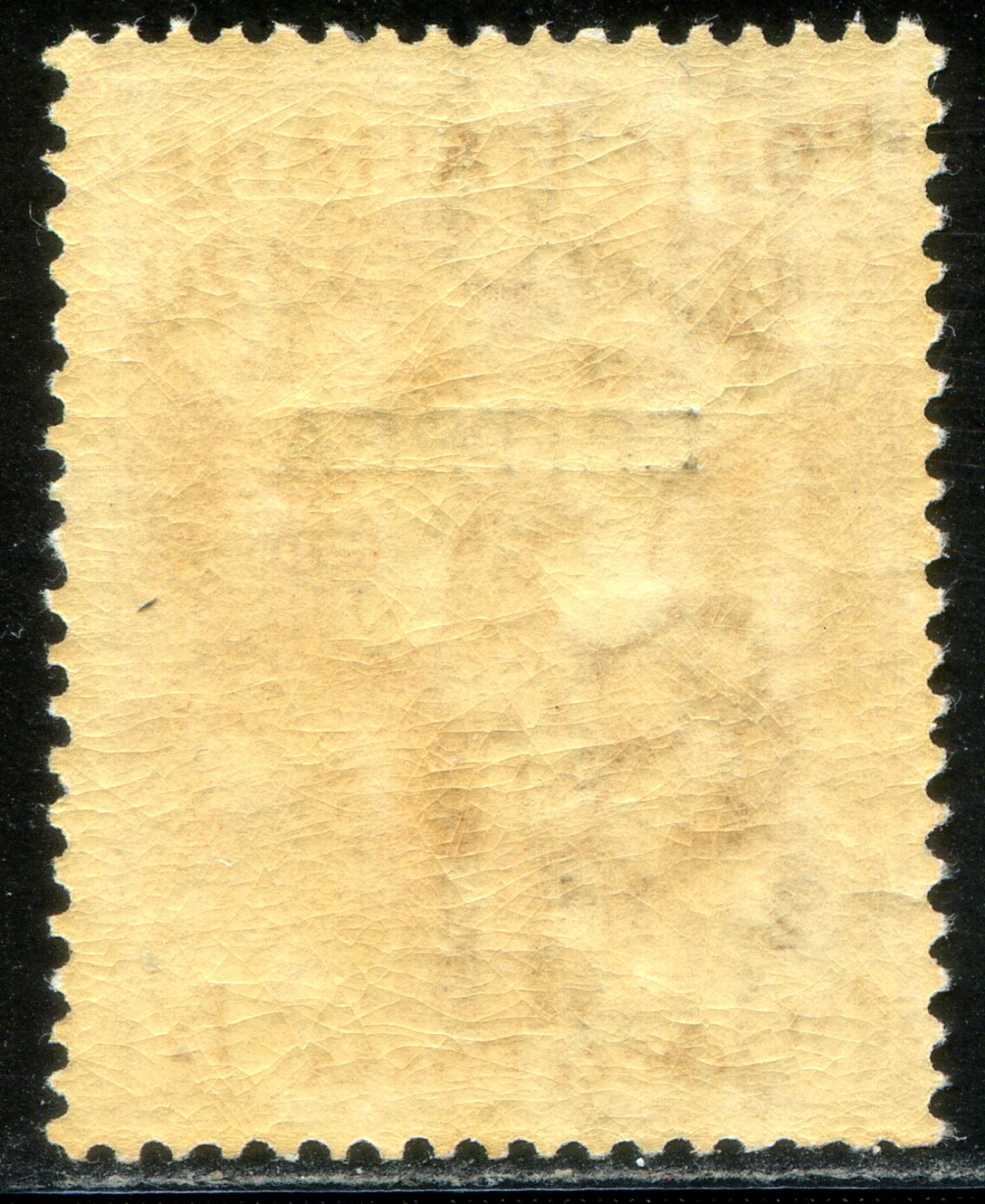 Foto 2 di 2