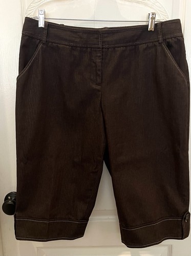 Ann Taylor Loft Marisa Bermuda Shorts Brown Pin Striped Cuffed Women’s Size 14