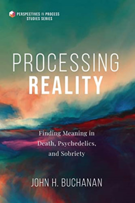 Processing Reality (Perspectives in Process Studies) - Paperback NEW Buchanan, J