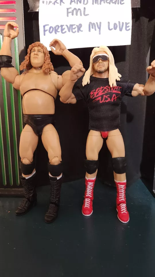 WWE MATTEL ULTIMATE EDITION CUSTOM FREEBIRDS Foto 2 de 4