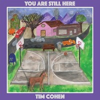Tim Cohen: You Are Still Here - 375 Media - (Vinyl / Independent)