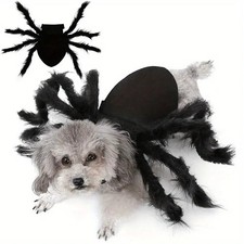 Halloween Spider Costume for Cats and S / M Dogs - Fun and Festive Pet Dress Up#