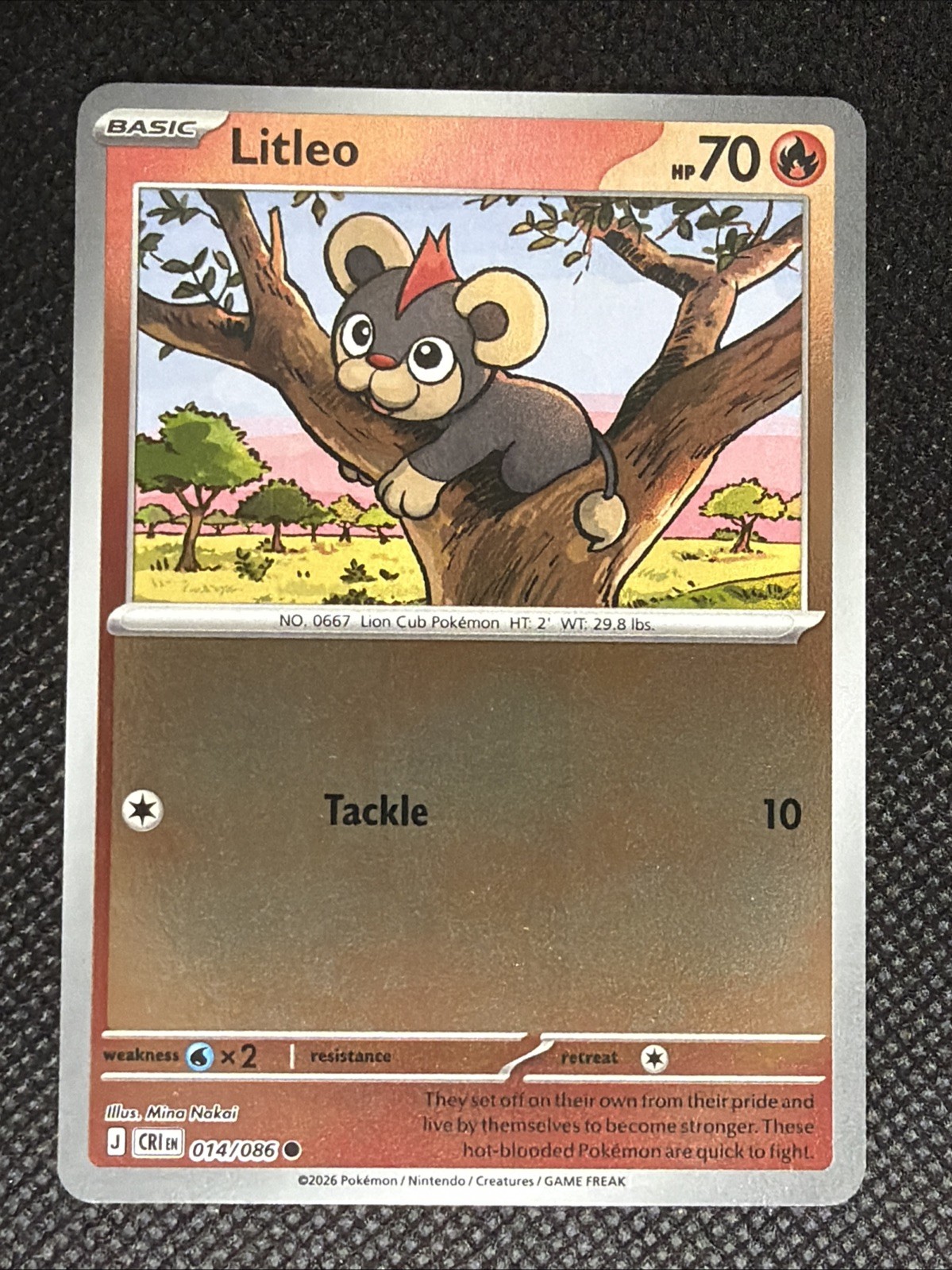 Litleo 014/086 Paldea Evolved English Basic Common Reverse Holo HP 70 1031B
