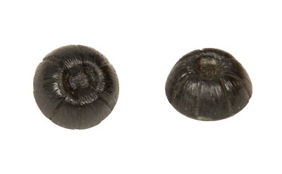 SG Set of 2 Round Plastic Machined Buttons with Sewing Stem mm.17 x 17 x 1