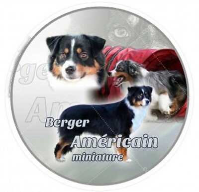 Aufkleber Miniature American Australian Shepherd Australischer Autoaufkleber 