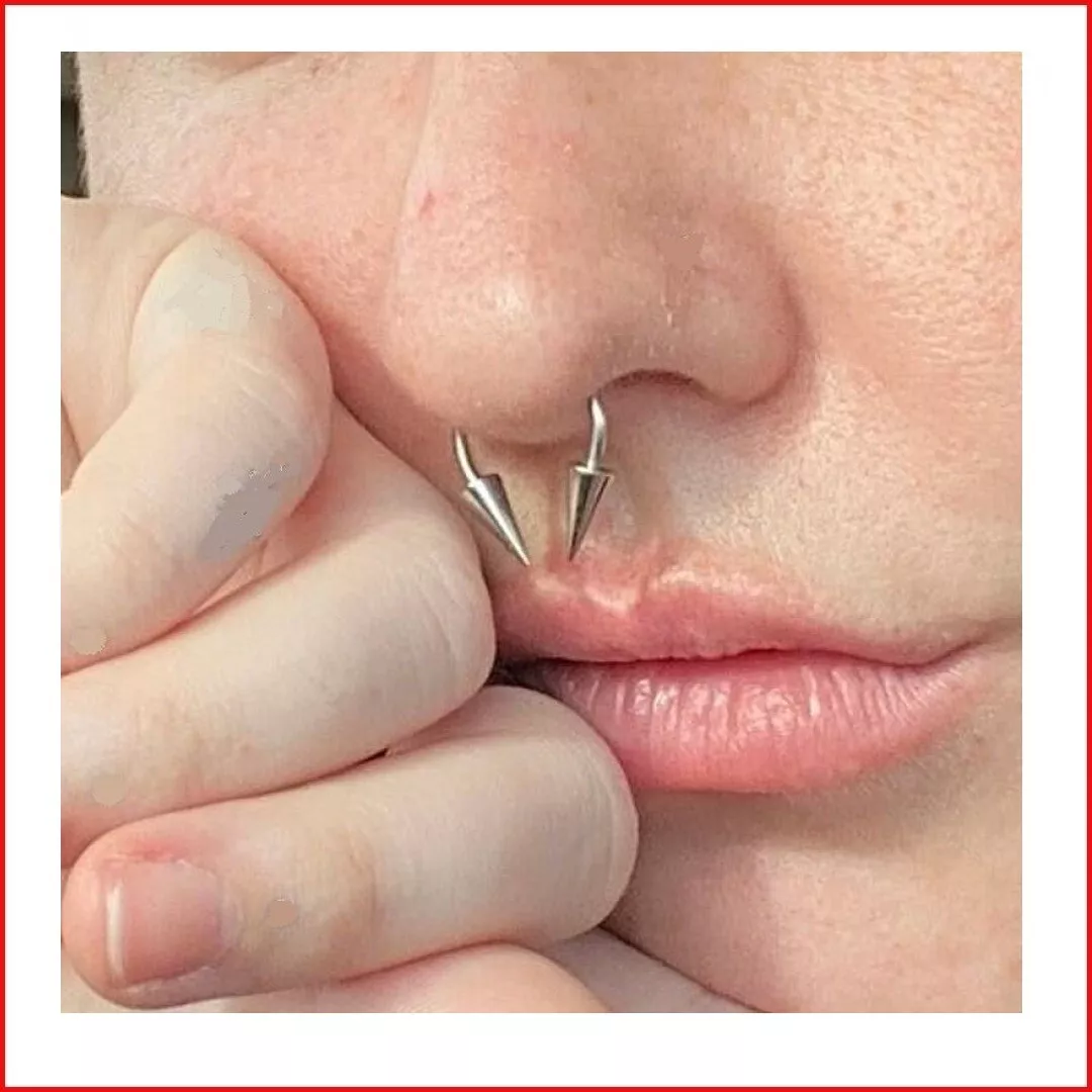 Septum spike shop barbell