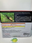 Foto 3 di 11