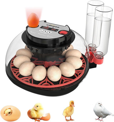 Automatic Egg Incubator, 12 Egg Incubators for Hatching Eggs with Automatic Turn