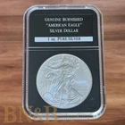 2008 American Silver Eagle Burnished 1oz .999 Silver