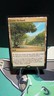 Exotic Orchard 159 Rare Commander: Wilds of Eldraine Magic: The Gathering LP