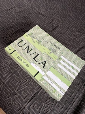 Size 10 - Nike Dunk Low x Union LA Passport Pack - Argon