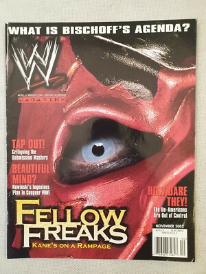WWE Magazine November 2002 Wrestling Magazine Bischoff Kane Nowinski