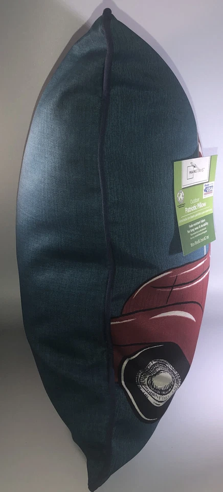 18 英寸 x 18 英寸户外/室内枕头防褪色品牌新发货同一天工作日 — 第 3/4 张图片