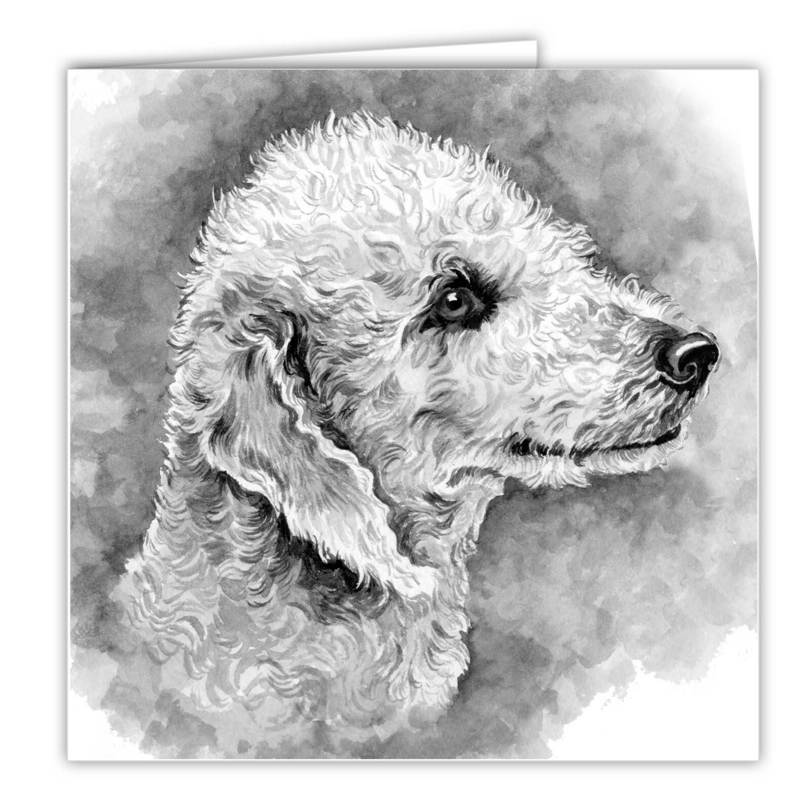 Bedlington Terrier greetings card dog blank card dogs Bedlington Terriers art