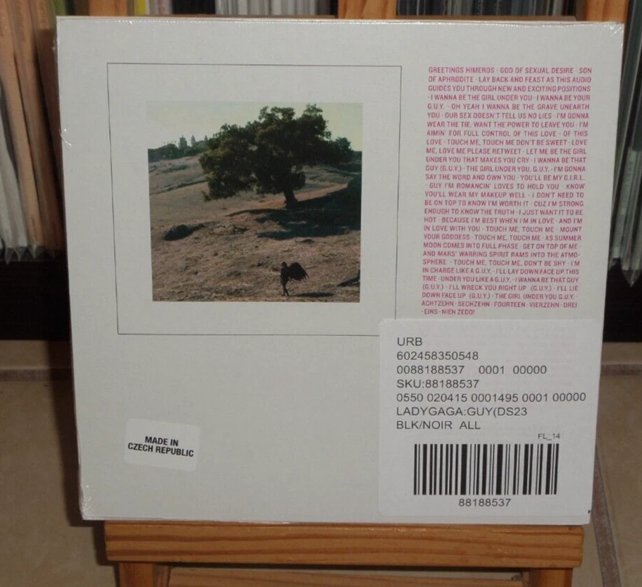 LADY GAGA GUY URBAN LIMITED EDITION 7 INCH ETCHED RECORD ARTPOP - Image 2 of 4