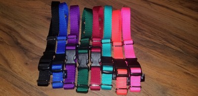 invisible fence replacement collar